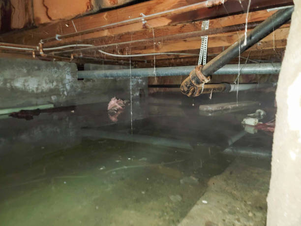  Arnold, MD Water damage restoration Pros
