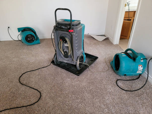 Best Flooded house restoration  in Arnold, MD