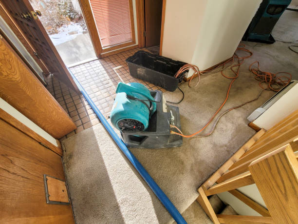 Professional Water damage restoration in Arnold, MD