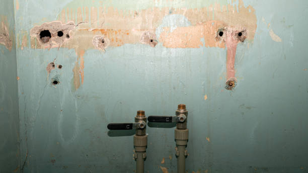 Best Residential water damage restoration  in Arnold, MD