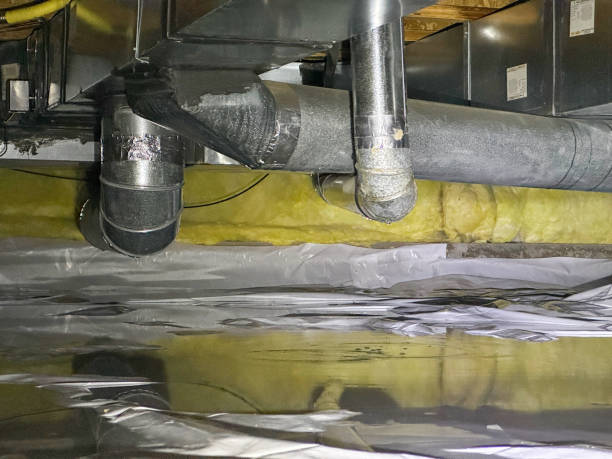Best Local water damage restoration  in Arnold, MD