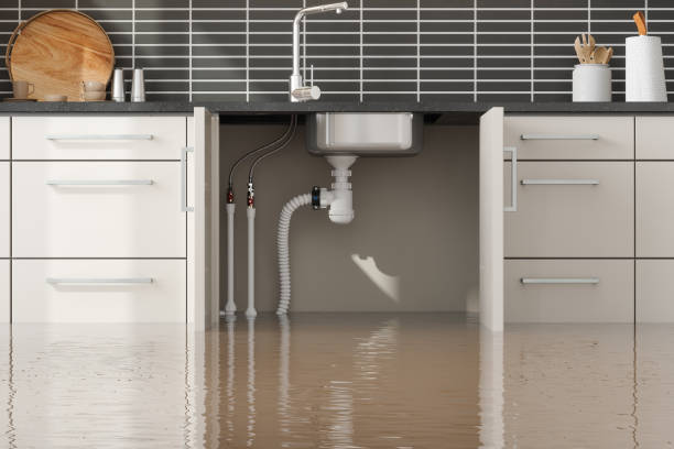Best Mold removal after water damage  in Arnold, MD