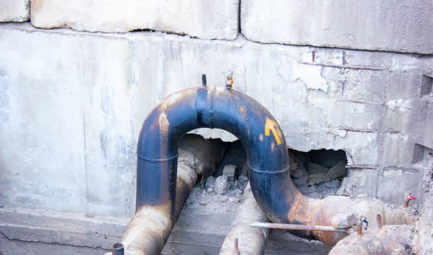 Best Carpet water damage restoration  in Arnold, MD