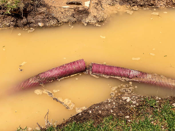 Best Water damage restoration near me  in Arnold, MD