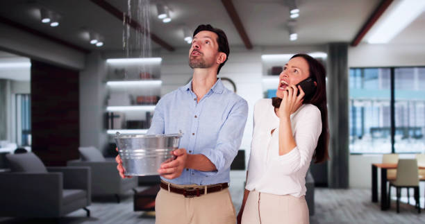Best Local water damage restoration  in Arnold, MD