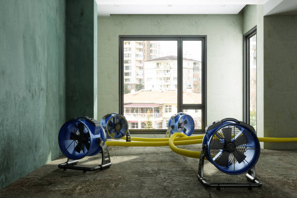 Water damage restoration experts in Arnold, MD